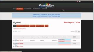 PigeonPedCom Help 3 Add pigeons fill a pedigree with AutoFill [upl. by Tselec]