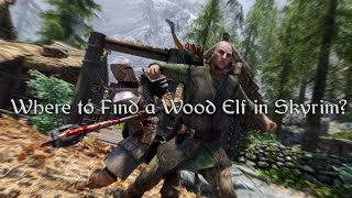 Where to Find a Wood Elf in Skyrim [upl. by Coussoule517]