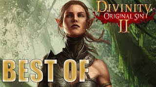 Best OF Un petit Heal Fane  Divinity Original Sin II 3 [upl. by Renate]