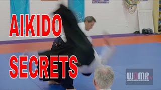 AIKIDO Movement Techniques FINESSE pt20 [upl. by Evilo]