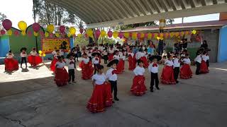 Jarabe tapatío por niños de 1er grado de primaria [upl. by Chappelka586]