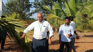 Management of Rugose Spiraling Whitefly  Dr S Sridharan Principal [upl. by Gurney]