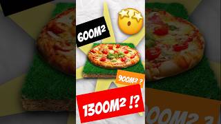 Une pizza de 1300m² [upl. by Drexler]