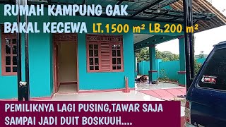 Rumah Kampung Dijual Cepat Butuh UangHalaman Luas Ada Kebon 1300 M²700 Jt Nego Ceper Sampai Jadi [upl. by Fairlie845]