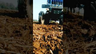 Farming life ll shortvideo subscribe shorts ytshorts farming youtubeshorts youtuber youtube [upl. by Harwin]