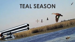 Duck Hunting Teal  25 Kills  by ShotKam [upl. by Bridwell]