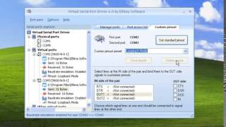 Virtual Serial Port Driver [upl. by Seldan]