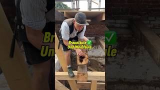 Braunfäule VS Weißfäule erkennen bei Balkenkopfsanierungen handwerk diy shorts woodworking [upl. by Aiuhsoj]