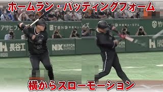 中田翔 ホームラン バッティングフォームを横からスロー [upl. by Zoubek]