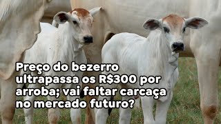 Preço do bezerro ultrapassa os R300 por arroba vai faltar carcaça no mercado futuro [upl. by Lorianne]