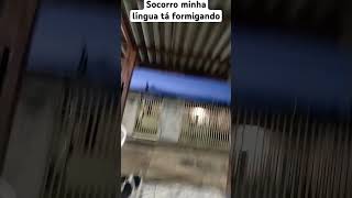 Socorro minha língua está formigando [upl. by Eleonora]