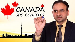 SDS Canada Student Direct Stream  Watch Benefits [upl. by Eentrok477]