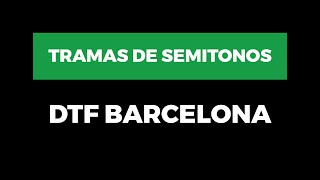 Cómo hacer una trama de semitonos en DTF  por DTF Barcelona [upl. by Phip]