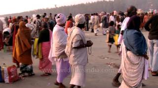 Saint singing spiritual songs at Gangasagar mela [upl. by Lleuqram]