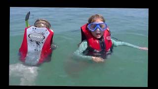 Turtles and Snorkels Off the Jetty at South Padre Island [upl. by Winfield]