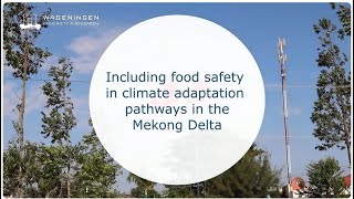 Including food safety in climate adaptation pathways in the Mekong Delta [upl. by Agretha]