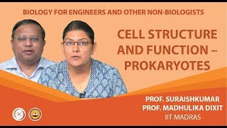 Cell structure and function  Prokaryotes [upl. by Sandeep]