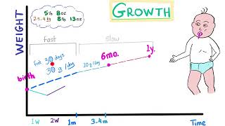 Childhood Growth Part 1 the first year [upl. by Lichter]