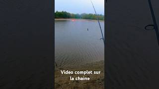 Brochet qui saute [upl. by Frick]