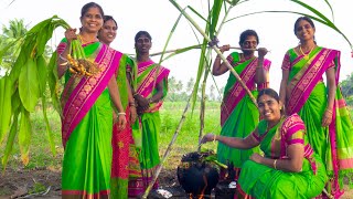 PONGAL CELEBRATION in Our Village  We celebrate Our Traditional Festival  Village Pongal Festival [upl. by Nodla]