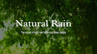 White Noise Rainfall Gentle piano music the soft sound of rain from nature Soothes the soul and the [upl. by Nutsud]