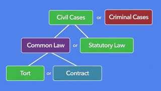 Episode 11 What is Torts And what Torts is not [upl. by Julienne]