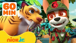 PAW Patrols Jungle Pups Rescue Giant Animals 🐯 w Marshall amp Tracker  1 Hour  Nick Jr [upl. by Ernestus105]