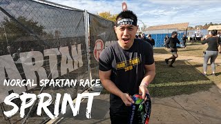 2024 Norcal Spartan Sprint 5K [upl. by Anthea933]