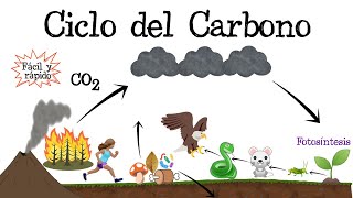 ♻️ Ciclo del Carbono ⚫️ Fácil y Rápido  BIOLOGÍA [upl. by Aplihs884]