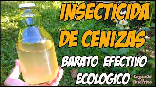 INSECTICIDA Y FUNGICIDA DE LEJÍA DE CENIZAS económico y ecológico [upl. by Wayland810]