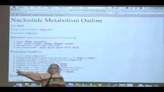 Kevin Aherns BiteSized Biochemistry 39  Nucleotide Metabolism I [upl. by Hara]