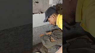 Bathroom wall tiles fitting 🚽🤔👍 floor tiles work ⚒️shorts viral trending [upl. by Eugeniusz377]