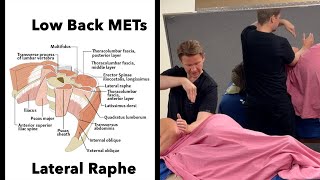 Low Back METs Lateral Raphe QL  Quadratus Lumborum release HD 1080p 2024 [upl. by Erdrich]