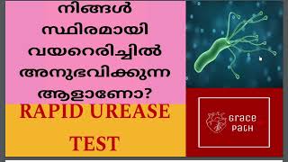 Rapid Urease Test RUT  CLO Test  Helicobacter Pylori Malayalam [upl. by Phylys69]