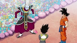 Dragon Ball Z HINDI  Goku and vegeta Training with quotWhisquot  2018 [upl. by Irrej]