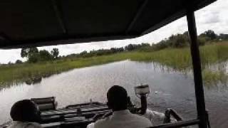 Our Land Cruiser fording a channel in the Okavango Delta [upl. by Glenna]