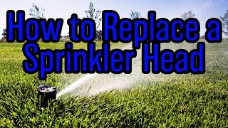 DIY HowTo Sprinkler Head Replacement [upl. by Chemar]