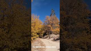 Big Bear November Foliage Adventure 🍂  Scenic OHV OffRoad Drive [upl. by Sivrahc]