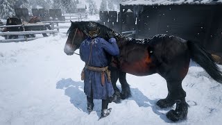 6 Breton horse exist in RDR2 [upl. by Alastair]