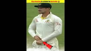 Big Cheating In Cricket By Australia 🤬 cheating shorts [upl. by Coulombe76]