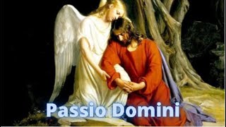 Passio Domini  01082024  1930 h [upl. by Adnaram510]