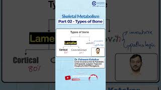 Types of Bone in Skeletal Metabolism By Dr Faheem kotekar  Orthopedic Residency [upl. by Kumler]