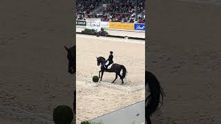 CHIO Aachen Ingrid Klimke full dressage test [upl. by Rohclem89]