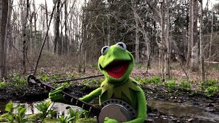 A Special Performance of quotRainbow Connectionquot from Kermit the Frog  The Muppets [upl. by Gaal201]