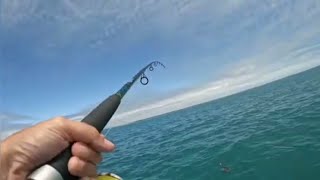 Captain Goody Episode 44Fishing on Hervey Bay A few fish around Michelle even caught a sea snake [upl. by Ybba76]