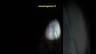 Lamentos en maquiladora contactoviajero4448 suscribete psicofonias paranormal youtubeshort [upl. by Arlon]