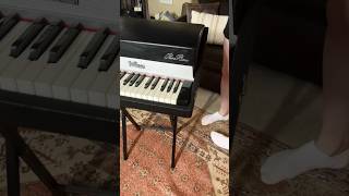 1972 Fender Rhodes Piano Bass now for sale fenderbass fenderrhodes rhodes [upl. by Aidne91]