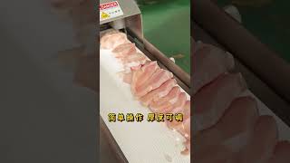 九盈机械多功能切片机JY150E冻鸡胸肉切片MultiFunctional Slicing Machine JY150E – SemiFrozen Chicken Breast Slicing [upl. by Aitnuahs]