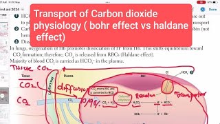 Transport of Carbon dioxide physiology  bohr effect vs haldane effect Respiratory System 19 [upl. by Rich569]