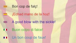 Catalonias Anthem [upl. by Salot]